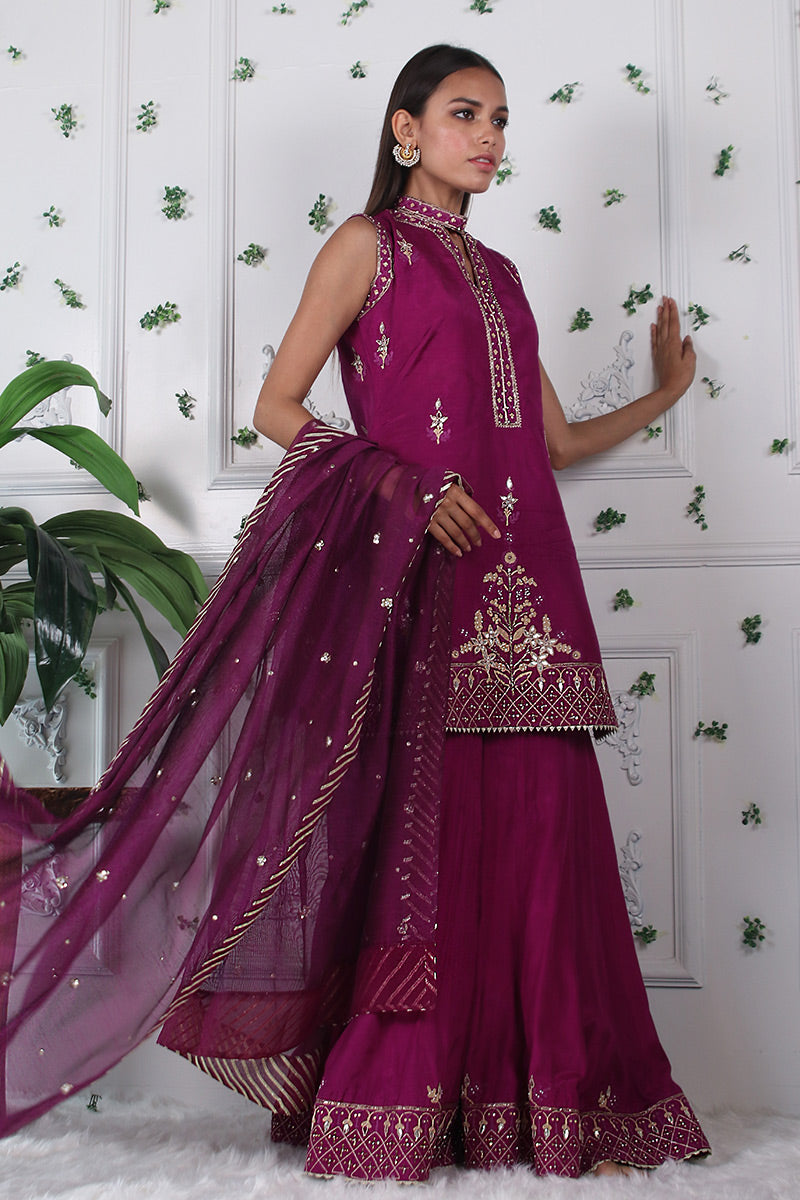 Cerise Fusion - Embellished shirt with dhaka pants