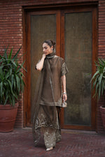 Dasht-e-Zaitoon