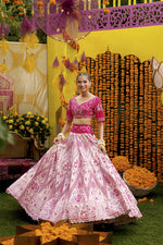 Pink Dhalia