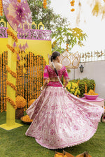 Pink Dhalia