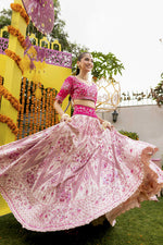 Pink Dhalia