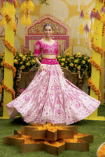 Pink Dhalia