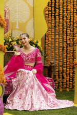 Pink Dhalia