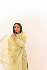 Limelight